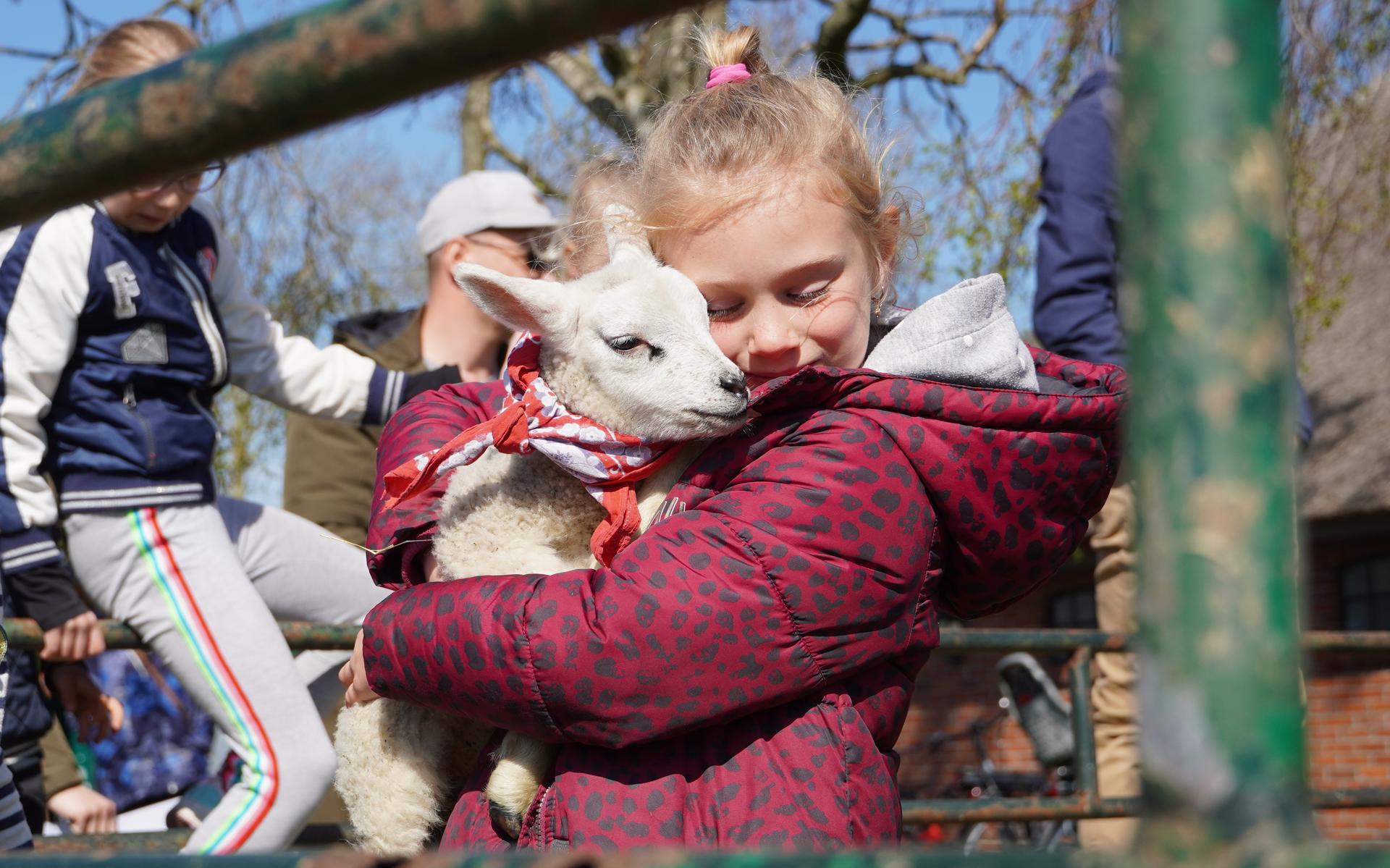 Wat is er rond Pasen te doen in Groningen, Friesland en Drenthe